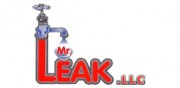 Mr. LEAK logo